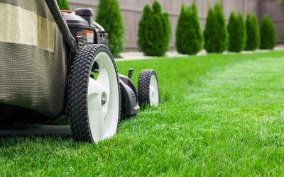Benefits of Professional Lawn Mowing for a Healthier Yard